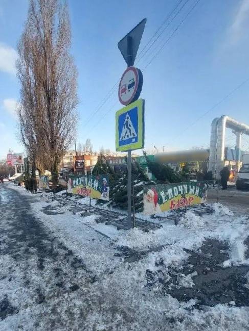 В Саратове на елочных базарах выявлены нарушения