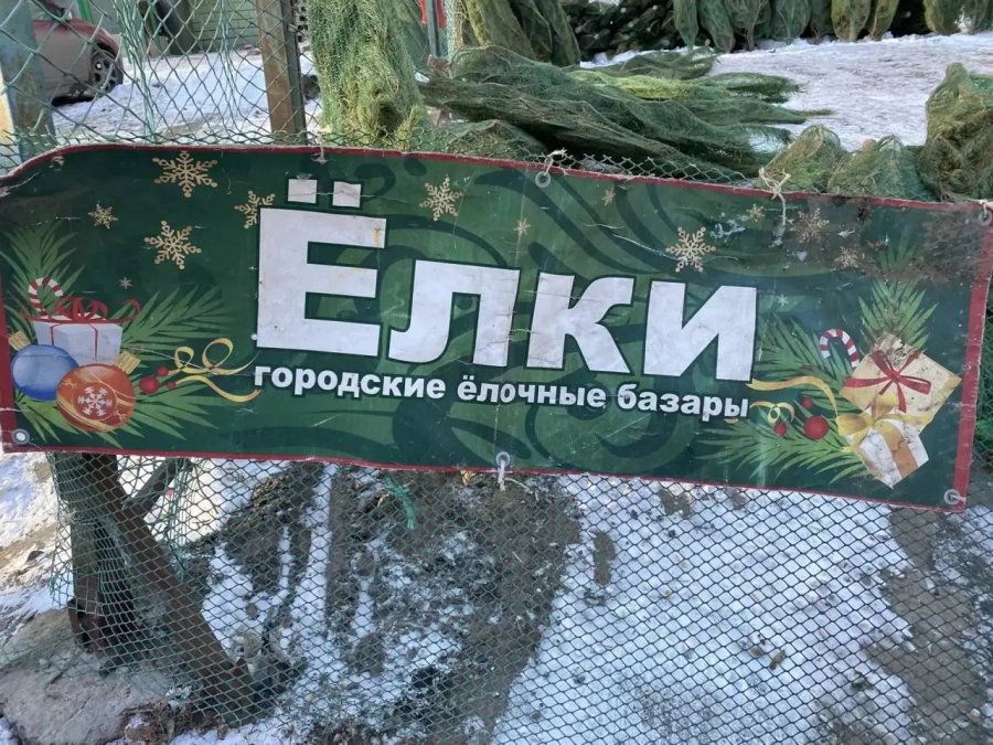 В Саратове на елочных базарах выявлены нарушения