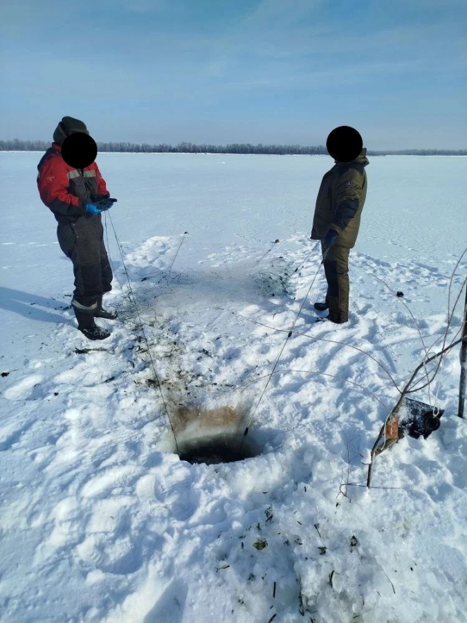В Саратовской области у браконьеров изъяли 600 метров сетей