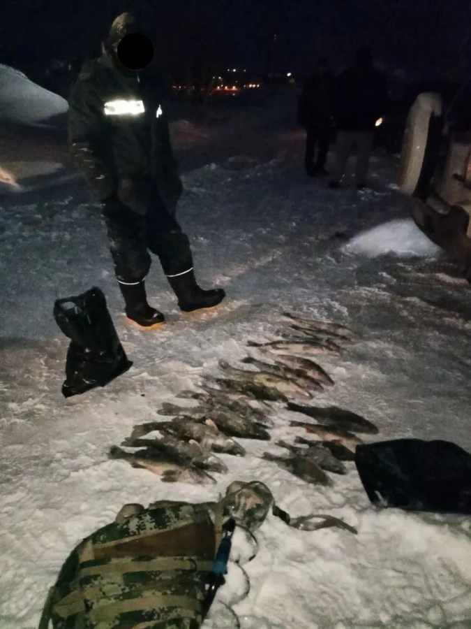 В Саратовской области у браконьеров изъяли 600 метров сетей