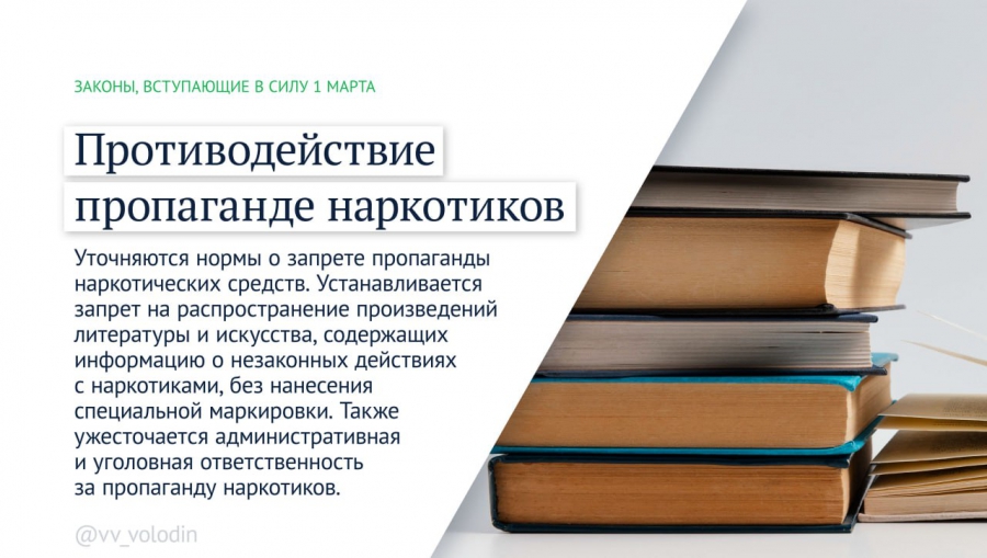 В России появились законы о системе борьбы с аферистами и защите русского языка