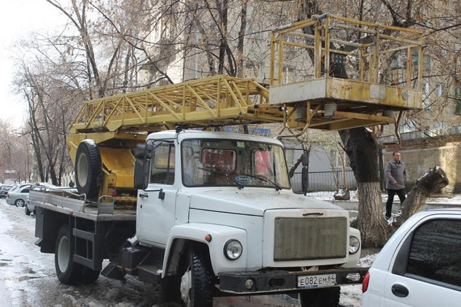 Хозяйка придавленной деревом «Тойоты» надеется взыскать ущерб