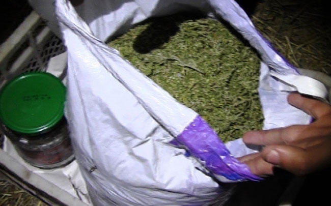 Член этнической группы наркодилеров «козырял» номером машины «228»