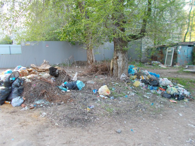 Жители улицы Школьной пожаловались на растущую гору мусора