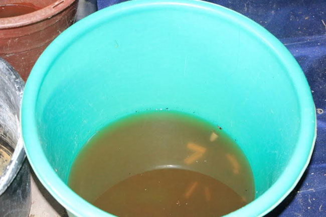 Рейд ОНФ. На Чернышевского ветер снес у дома крышу