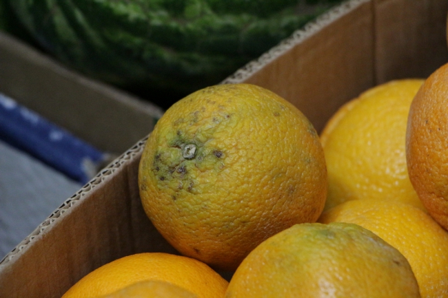 В «Магните» нашли просроченный 3 дня назад творог