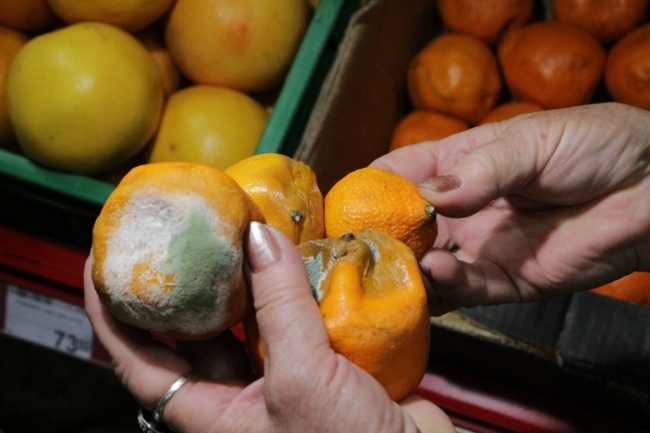 В «Магните» нашли просроченный 3 дня назад творог