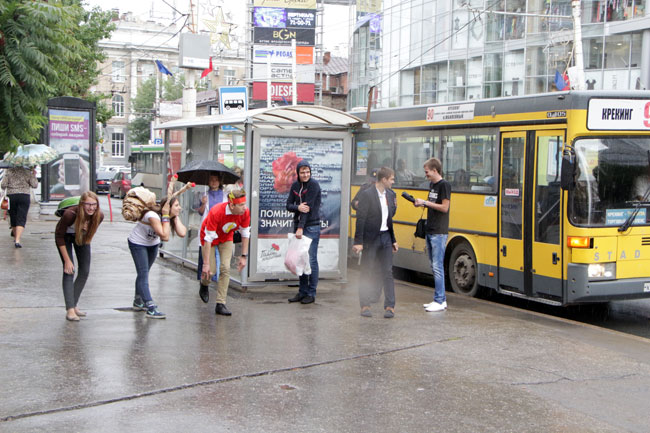 Улитка, черепаха и Флеш устроили гонки с саратовскими автобусами