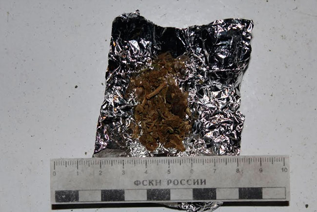 В стриптиз-клубе Саратова задержаны наркоторговцы и проститутки