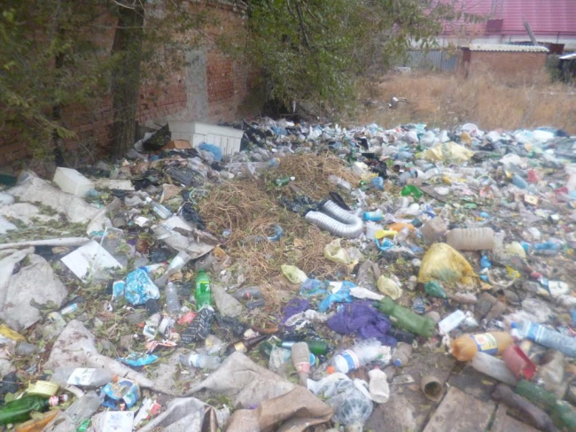 Жители Новоузенска страдают от зловония