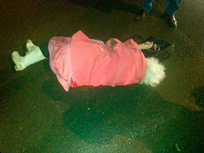 Женщина с внучкой угодили под колеса «семерки»