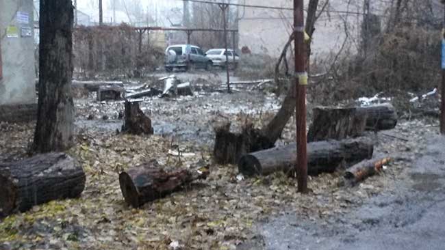 Омбудсмену Журик пожаловались на бардак во дворах Заводского района