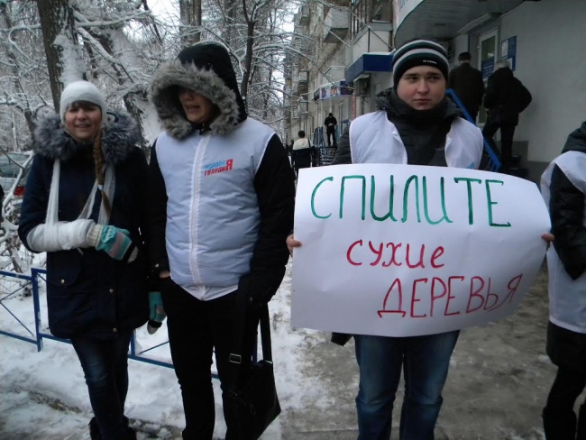 Активисты МГЕР убедили председателя ТСЖ в опасности деревьев