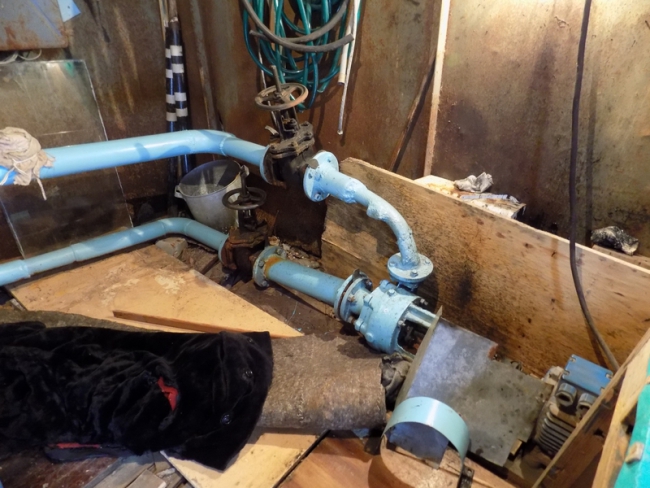 Сенатору Боковой пожаловались на зловоние и гнилые трубы в многоэтажке на Московской