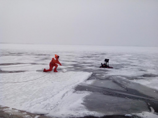 Спасатели случайно спасли саратовца из полыньи