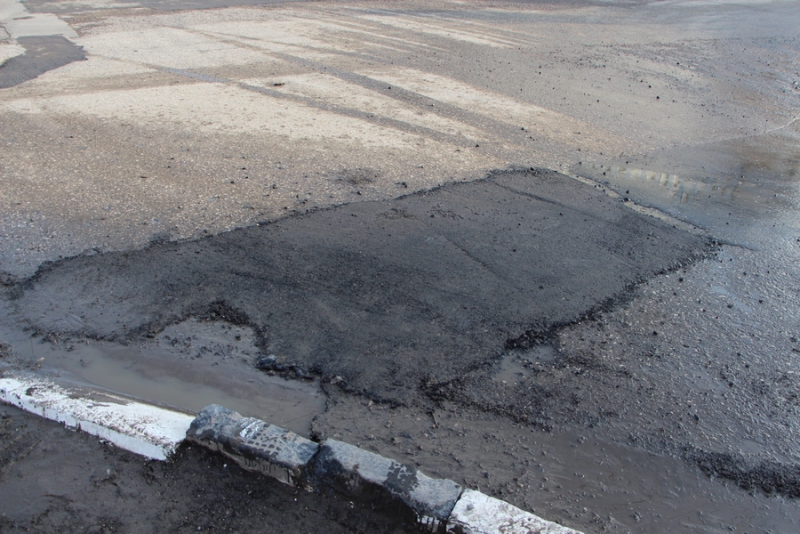 Визит Медведева. Кинологи обследуют ЛД «Кристалл»