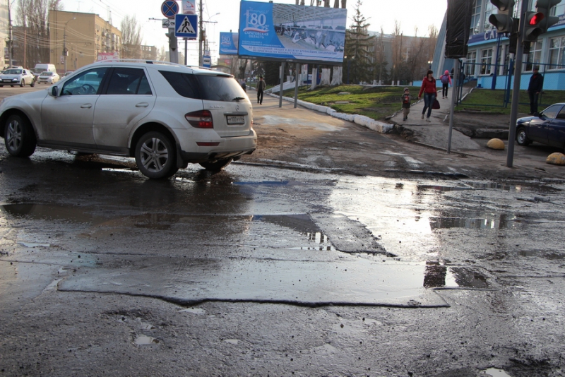 Визит Медведева. Кинологи обследуют ЛД «Кристалл»