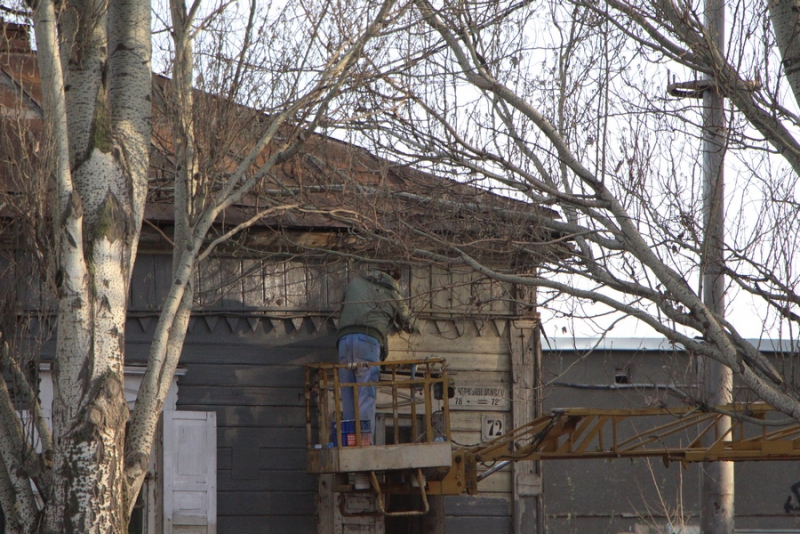 Визит Медведева. Кинологи обследуют ЛД «Кристалл»