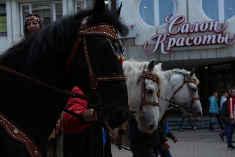 По проспекту Кирова прошла цирковая кавалькада