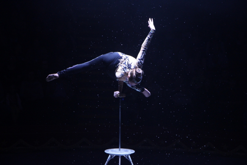 Звание «Принцесса цирка» получили акробатки из России