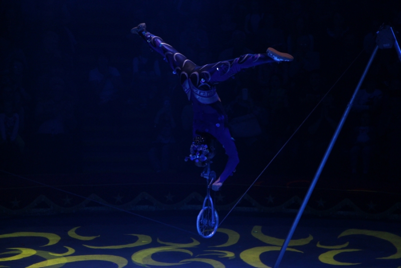 Звание «Принцесса цирка» получили акробатки из России