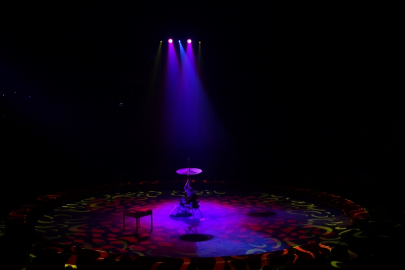 Звание «Принцесса цирка» получили акробатки из России