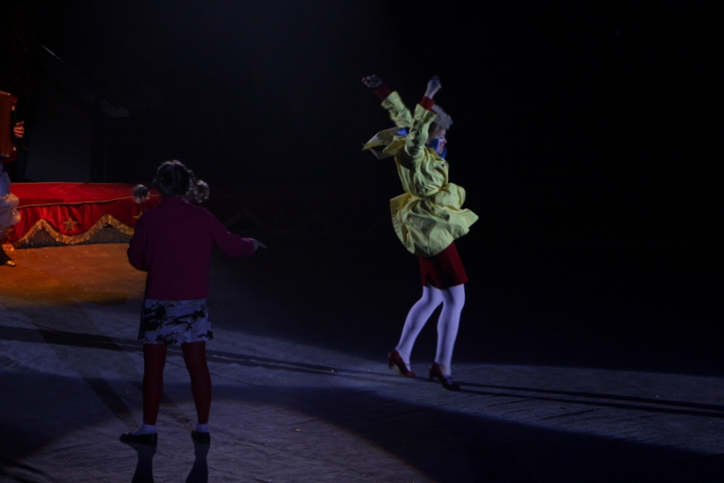 Звание «Принцесса цирка» получили акробатки из России