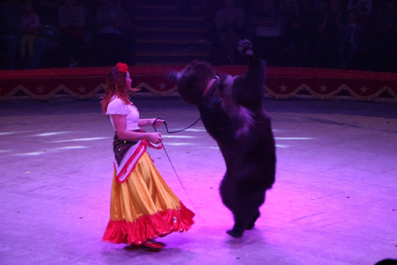 Звание «Принцесса цирка» получили акробатки из России