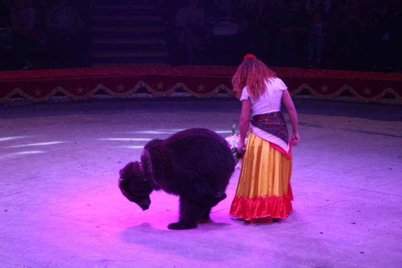 Звание «Принцесса цирка» получили акробатки из России