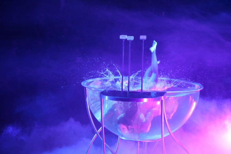 Звание «Принцесса цирка» получили акробатки из России