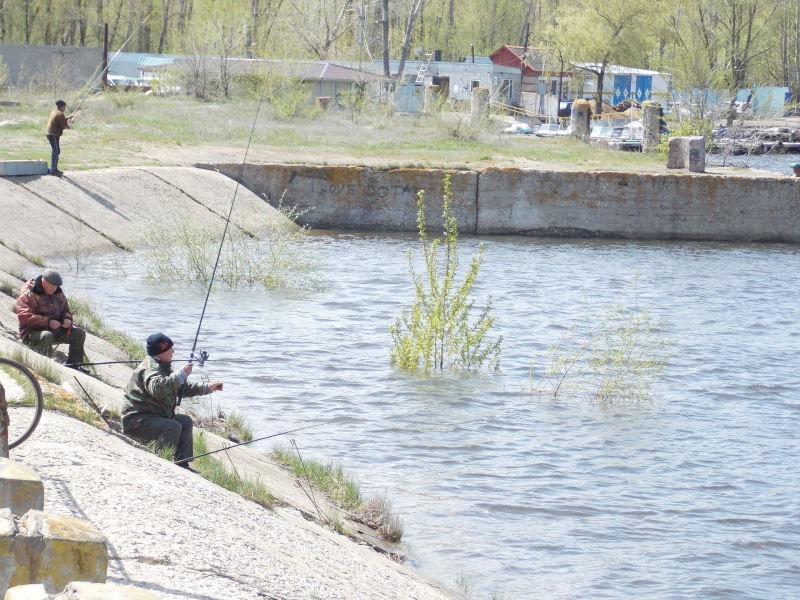 В Марксе поднялся уровень Волги