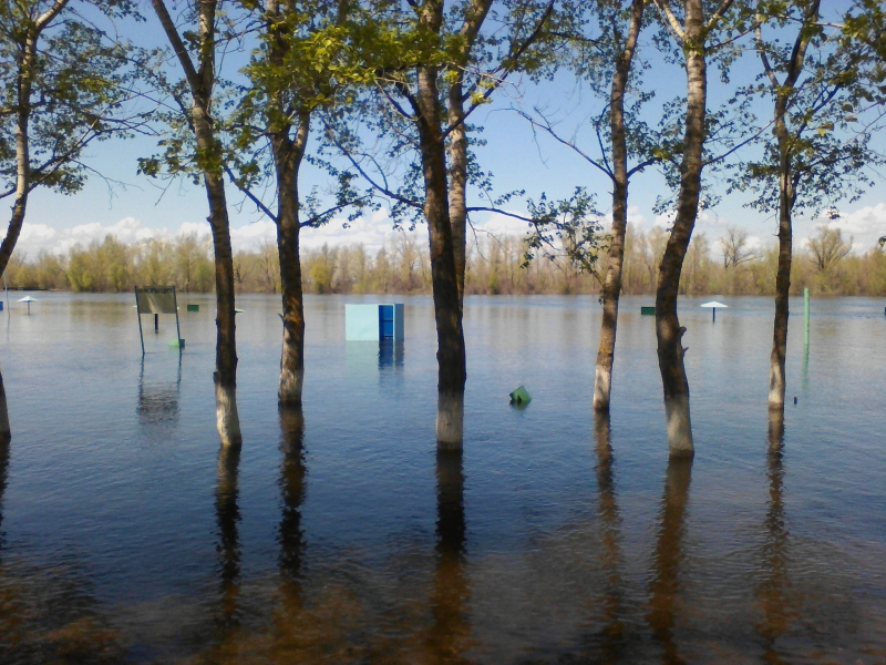 В Марксе поднялся уровень Волги