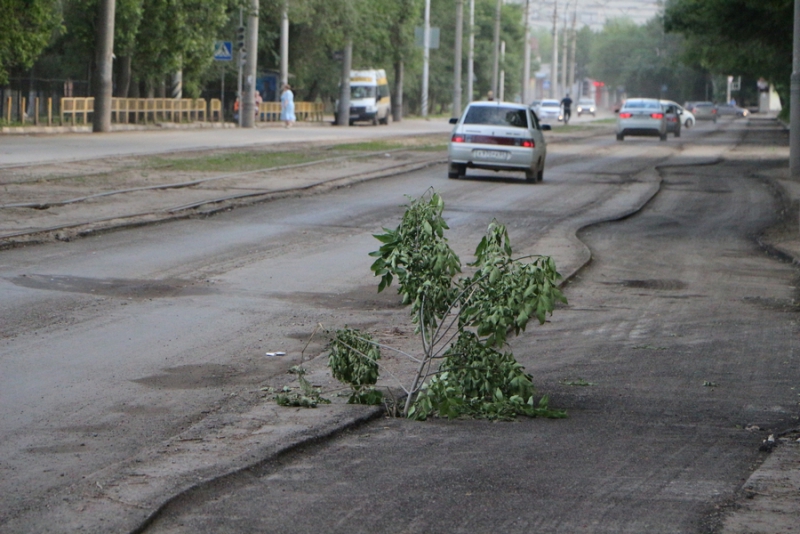Инструменты для сада и огорода. Французский огород с зоей козичевой. Садовый инвентарь фискарс. Красивые грядки. Товары для сада и огорода.