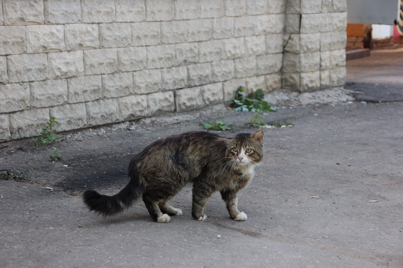 В Энгельсе открыли картинную галерею