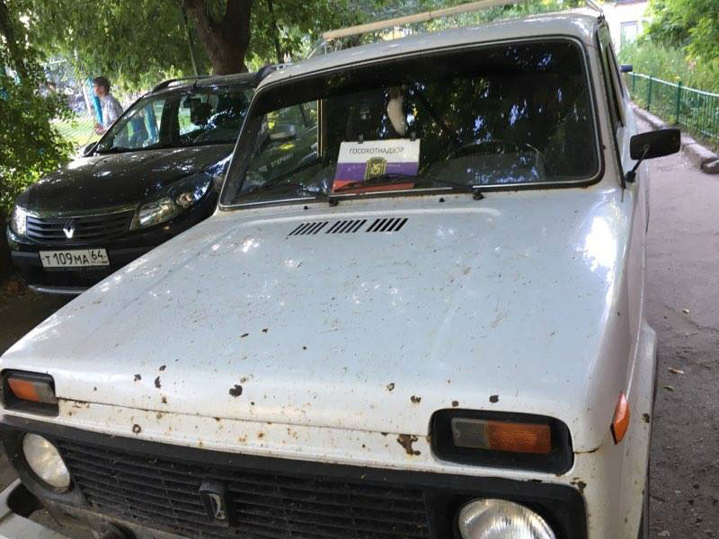 Ветеринары и неравнодушный саратовец борются за жизнь сбитой на трассе косули