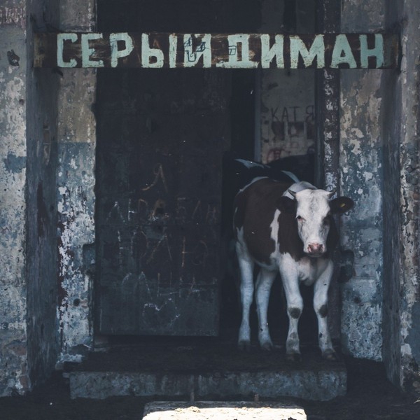 Разрушенный храм в селе Ахмат заняли коровы