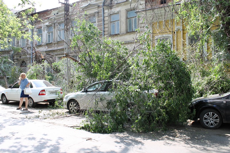 В Саратове дерево раздавило «Тойоту» подполковника прокуратуры