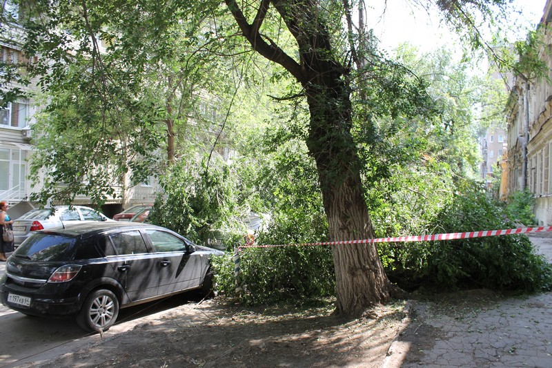 В Саратове дерево раздавило «Тойоту» подполковника прокуратуры