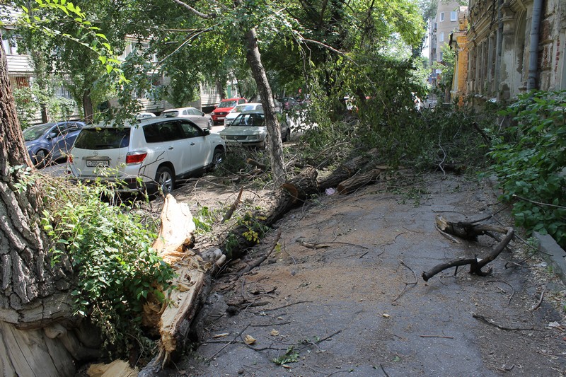 В Саратове дерево раздавило «Тойоту» подполковника прокуратуры