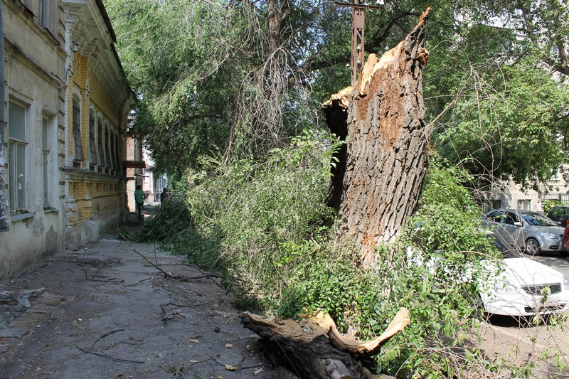 В Саратове дерево раздавило «Тойоту» подполковника прокуратуры