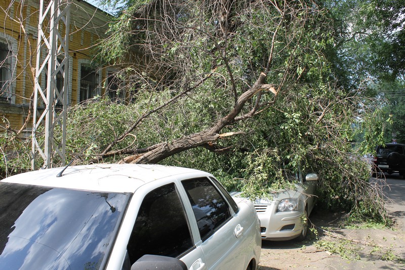 В Саратове дерево раздавило «Тойоту» подполковника прокуратуры