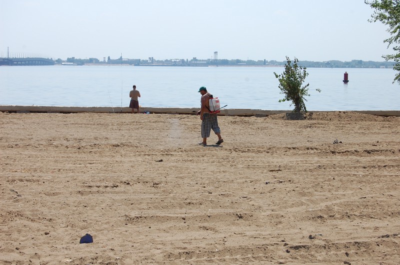 В Саратове облагораживают «дикий уголок» у моста