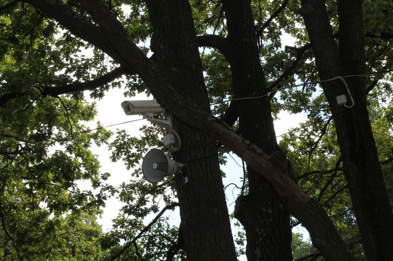 ОНФ: Врачи вынуждены брать неоплачиваемый отпуск для работы в лагерях