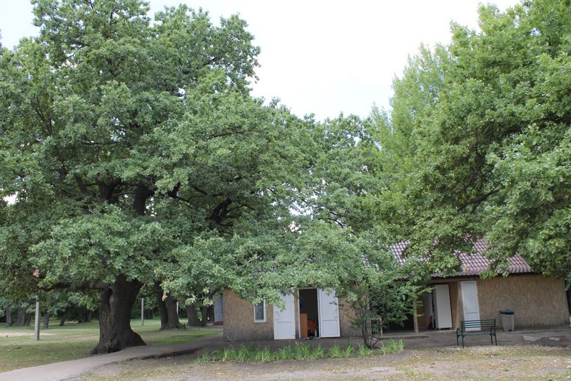 ОНФ: Врачи вынуждены брать неоплачиваемый отпуск для работы в лагерях