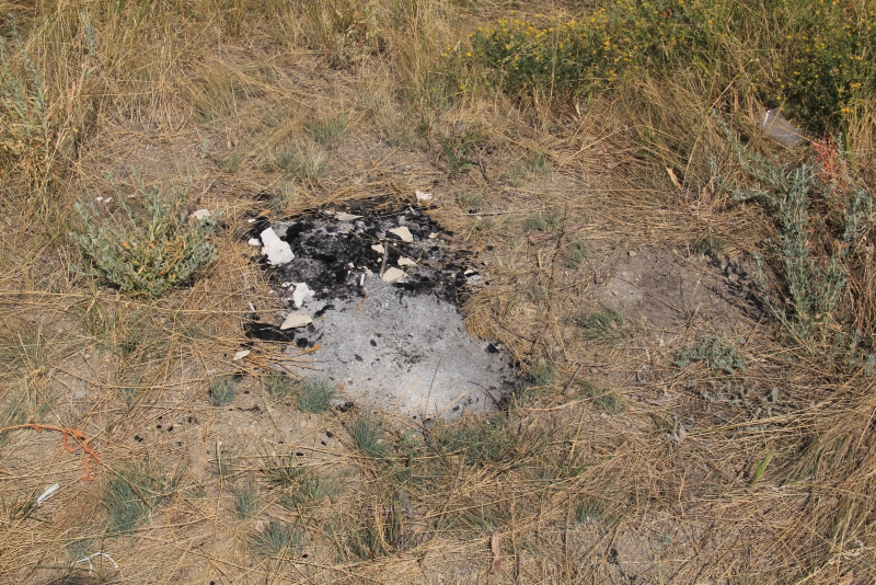 В Саратов привезли мусор с утеса Степана Разина