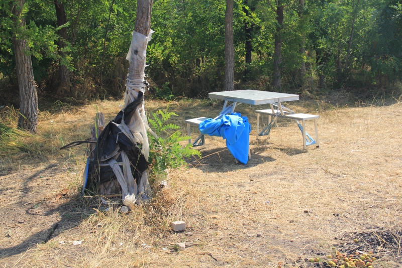 В Саратов привезли мусор с утеса Степана Разина