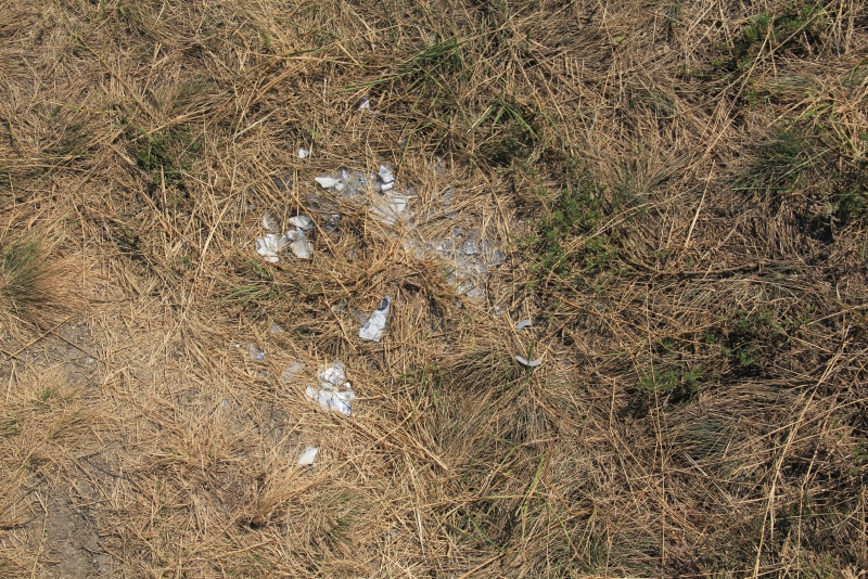 В Саратов привезли мусор с утеса Степана Разина