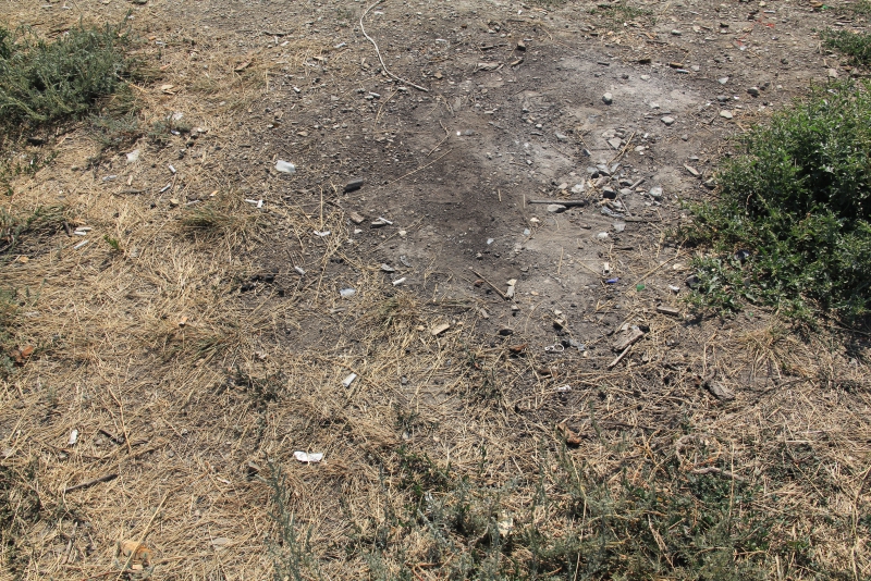 В Саратов привезли мусор с утеса Степана Разина