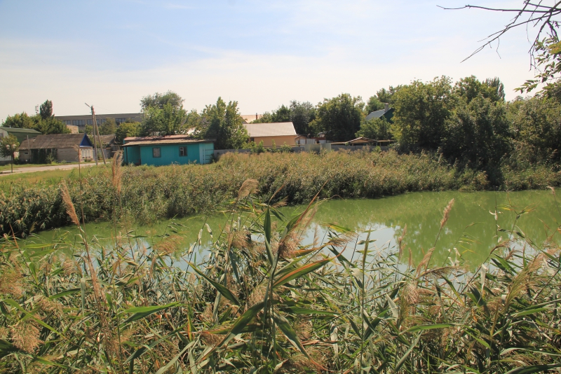 В Ершове в 40-градусную жару можно купаться лишь в ФОК «Дельфин»
