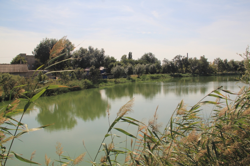 В Ершове в 40-градусную жару можно купаться лишь в ФОК «Дельфин»